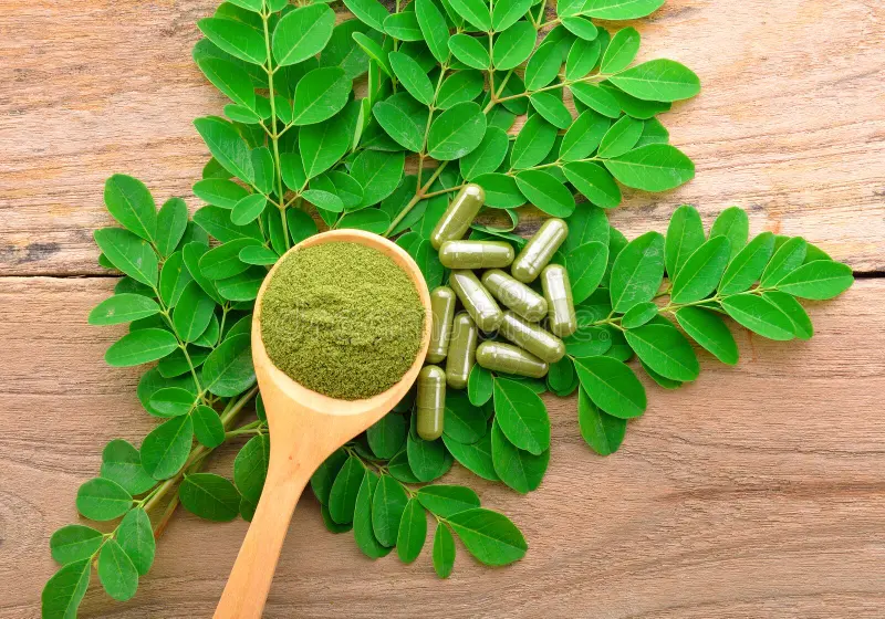 Moringa Leaves: The Ultimate Superfood for Health and Wellness