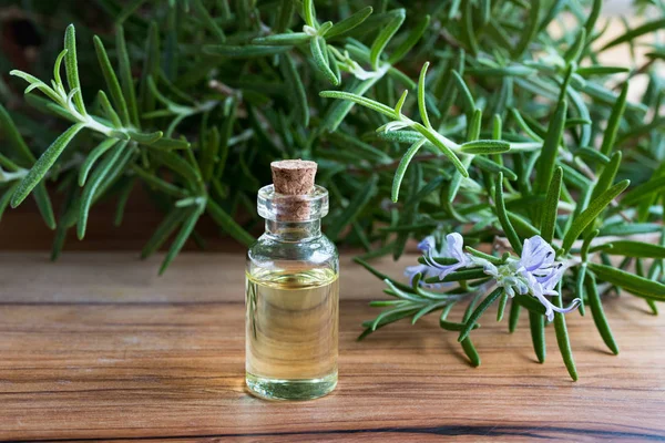 Rosemary Oil – The Circulation Booster